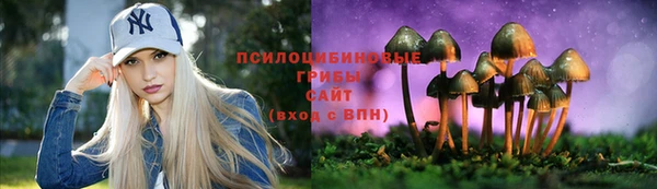 спайс Пересвет