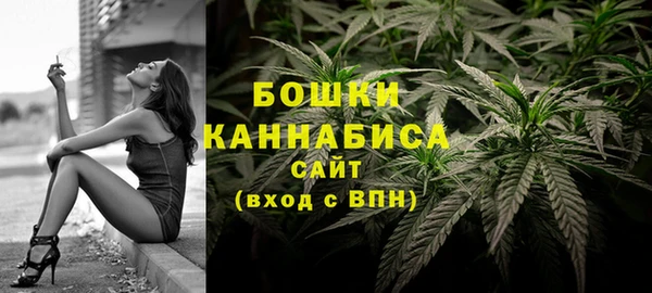 дурь Бородино